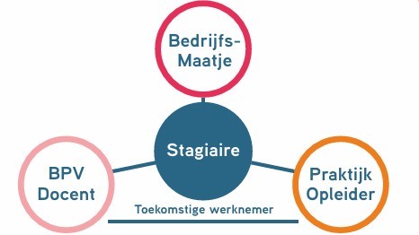 Mentoring@workschema